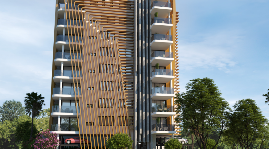 section catalog photo